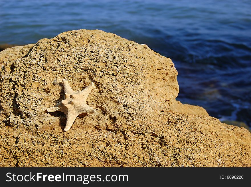 Starfish on rock stones, seashore as background