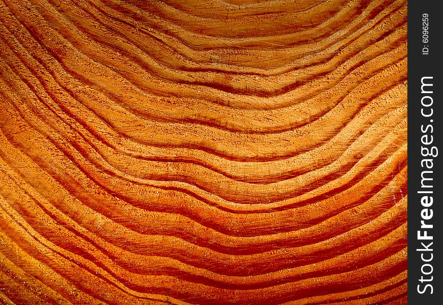 Hardwood pine nature striped background. Hardwood pine nature striped background