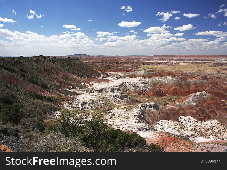 Painting Desert at  Petrified Forest NP