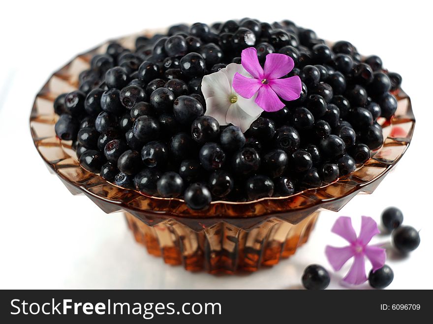 Blueberry with flowers shot, shallow depth of field, flowers in focus