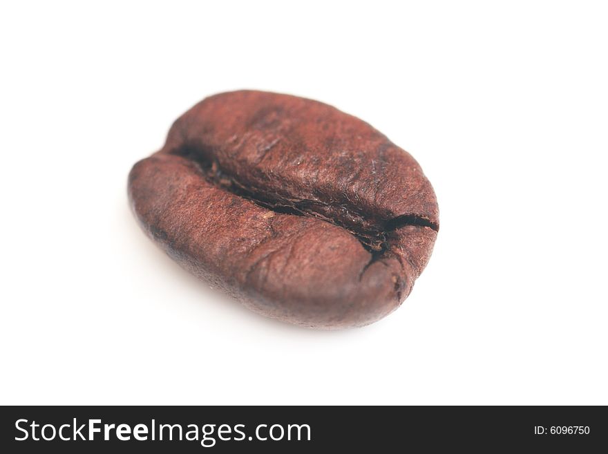 Single Coffe Bean.