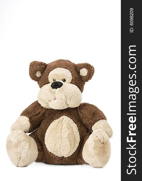 Classical teddy bear sitting on a white background