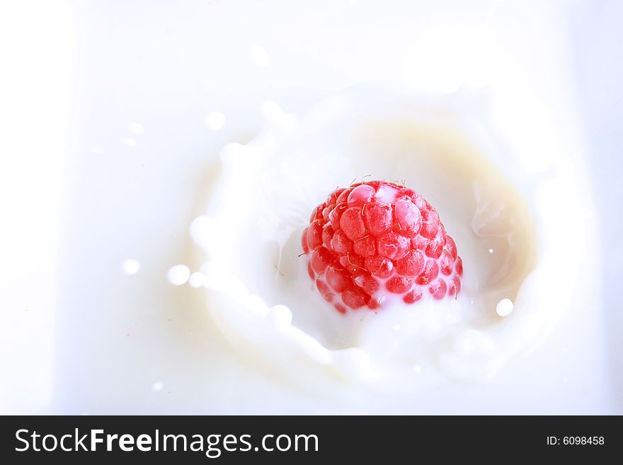 Fresh berry splashing in milk, great concept of freshness. Fresh berry splashing in milk, great concept of freshness