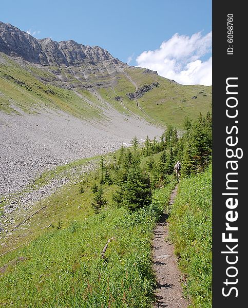 Alpine trail on mountains indefatigable, kananaskis country, alberta, canada