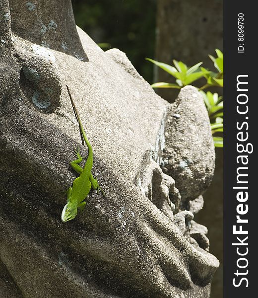 Bright green lizard pauses as he crosses over a concrete statue. Bright green lizard pauses as he crosses over a concrete statue.
