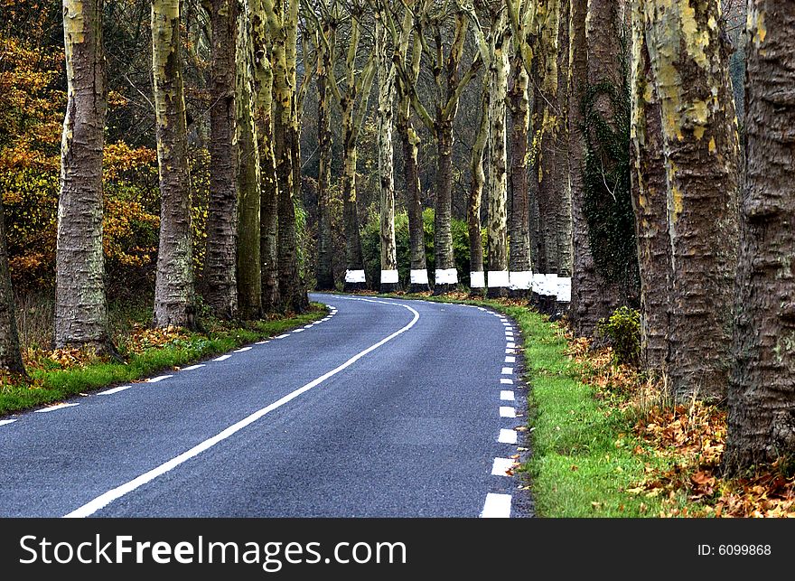 Small road in the country. Small road in the country