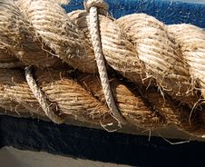 Smell Of Sea Royalty Free Stock Photo Smell Of Sea Royalty Free Stock Photo
