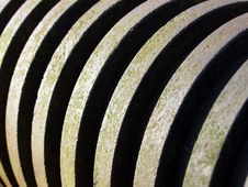 Dead Spindle In Detail Royalty Free Stock Photography Dead Spindle In Detail Royalty Free Stock Photography