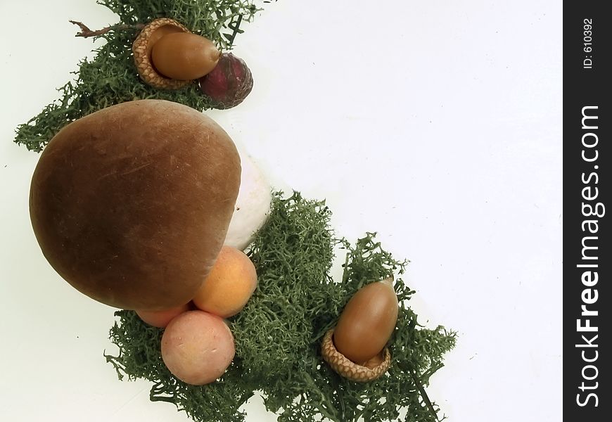 Moss, acorns and mushrooms border, white background. Moss, acorns and mushrooms border, white background