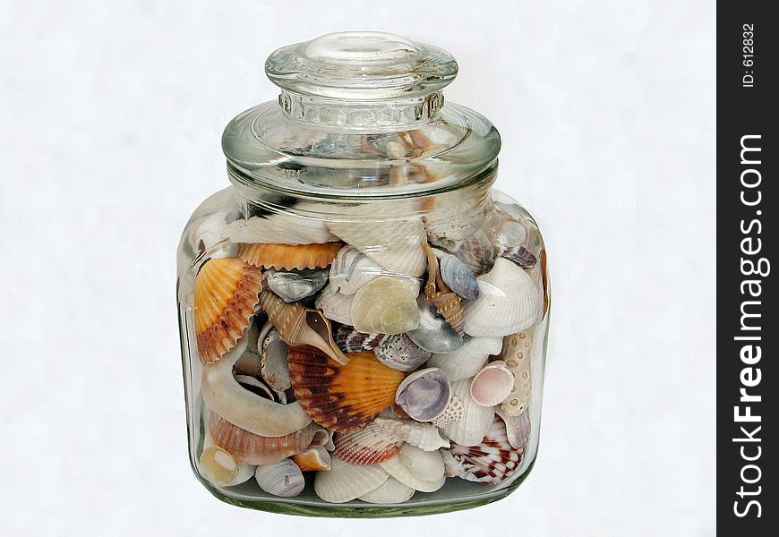 Download Jar Of Seashells Free Stock Images Photos 612832 Stockfreeimages Com PSD Mockup Templates