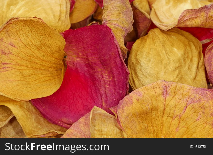 Dried Rose Petals