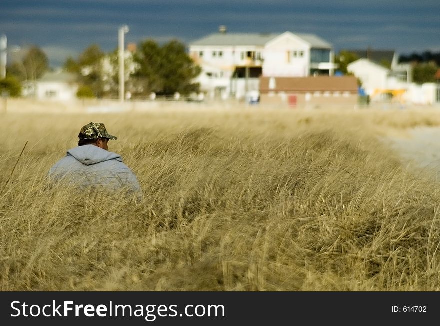 A man sits in the seagrass on a Maine beach. A man sits in the seagrass on a Maine beach