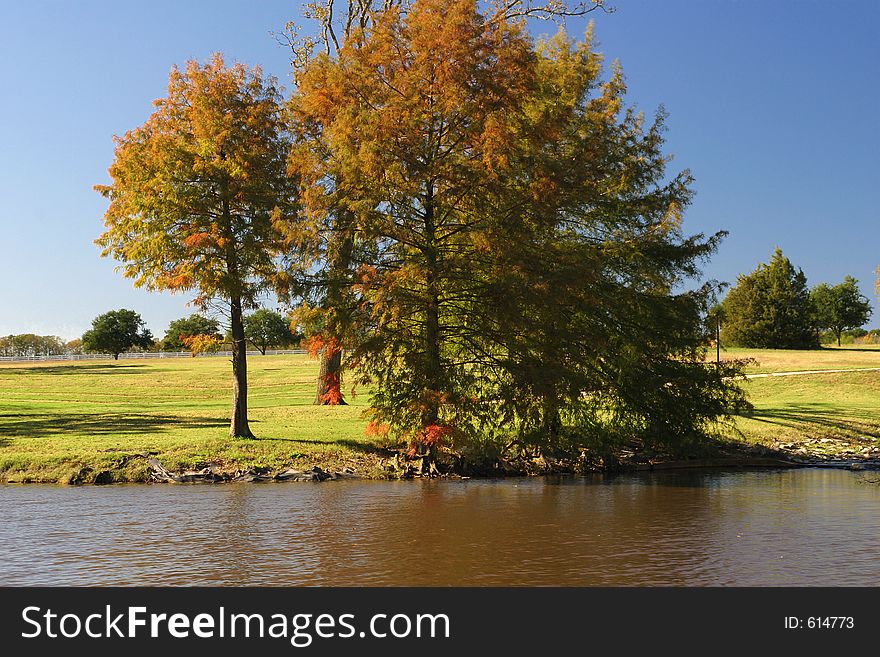 A beautiful park in the early fall. A beautiful park in the early fall