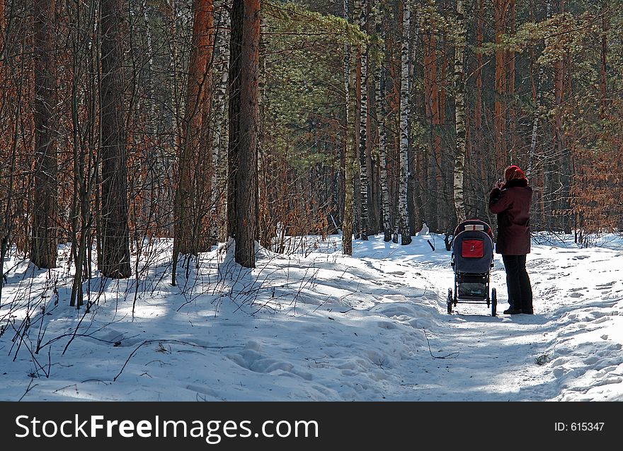 The photo is made in a wood located within the limits of the city of Moscow (Russia, Original date/time: 2006:03:25 23:26:41. The photo is made in a wood located within the limits of the city of Moscow (Russia, Original date/time: 2006:03:25 23:26:41.