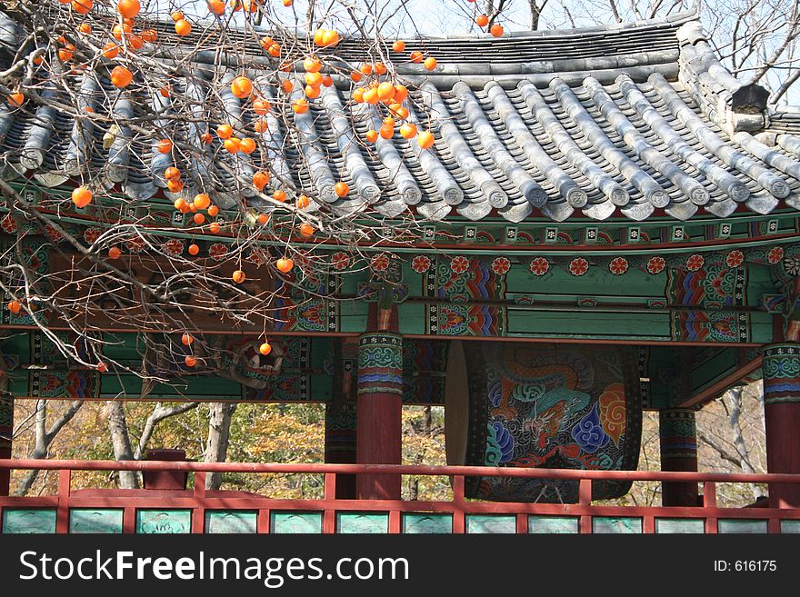 A korean bell tower and orange tree in Pohang South Korea.