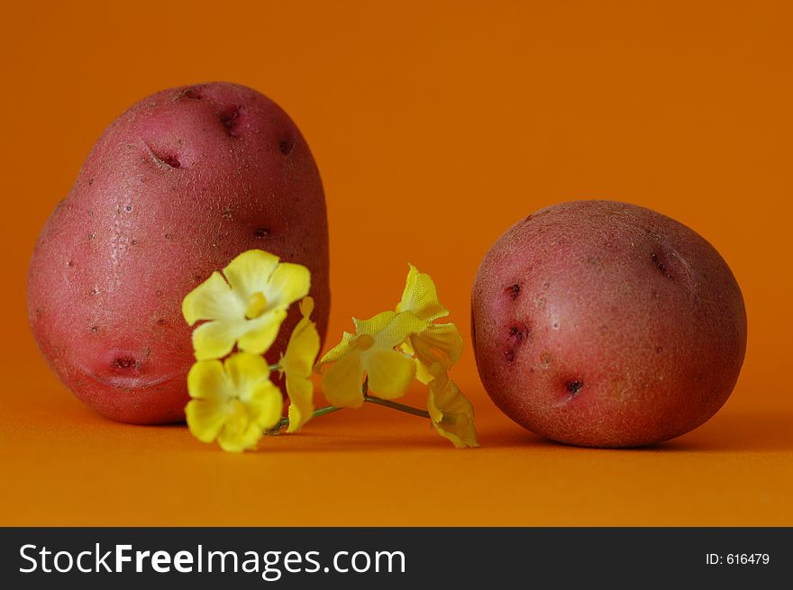 Guy and girl potato on first date. Guy and girl potato on first date.