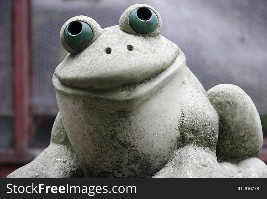 Smiling green frog. Smiling green frog