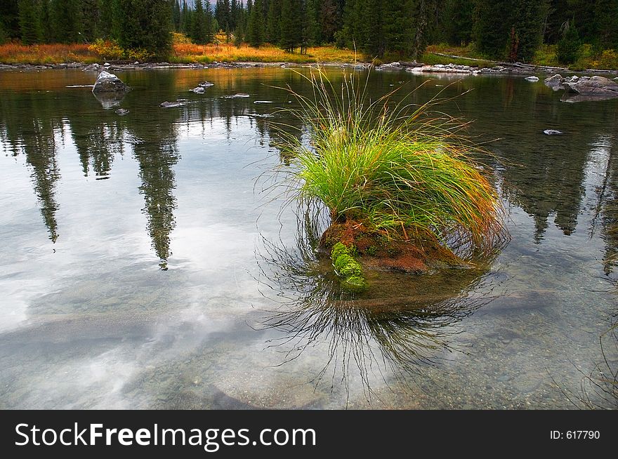 Clouds And Firs Reflections.