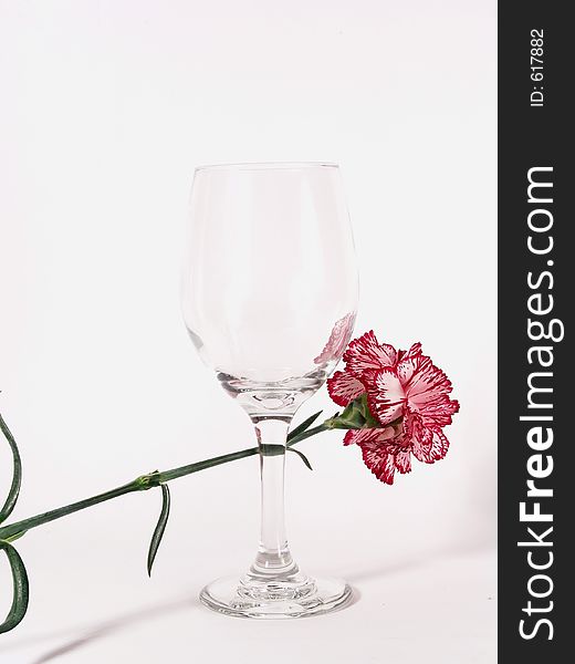 High resolution digital photo of an empty wine glass with a carnation. High resolution digital photo of an empty wine glass with a carnation