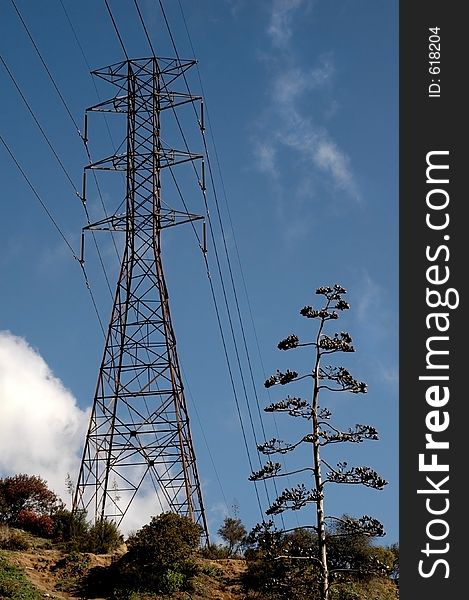 A power source and tree of similar shape on top of a hill. A power source and tree of similar shape on top of a hill
