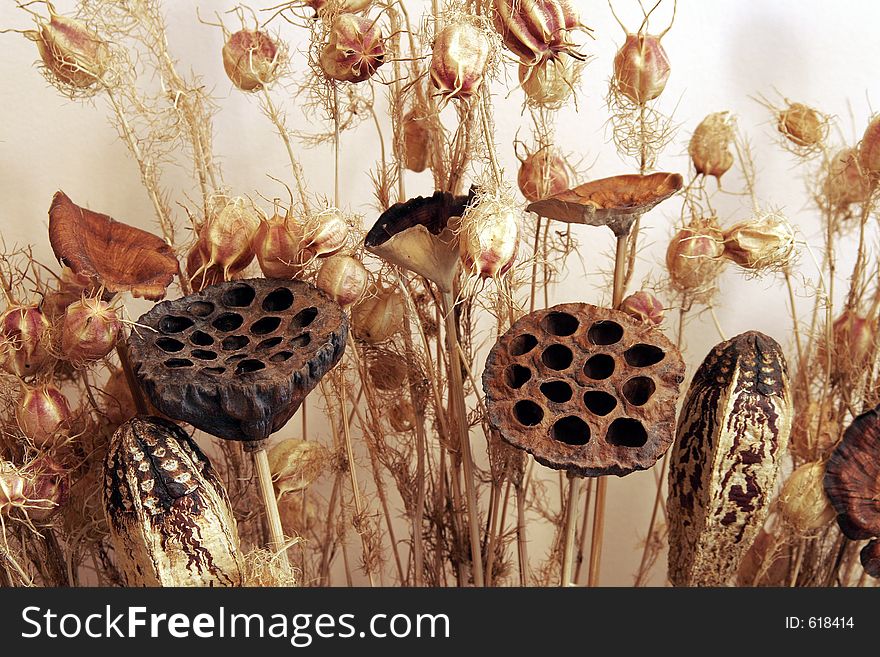 Dry Flower Bouquet. Dry Flower Bouquet