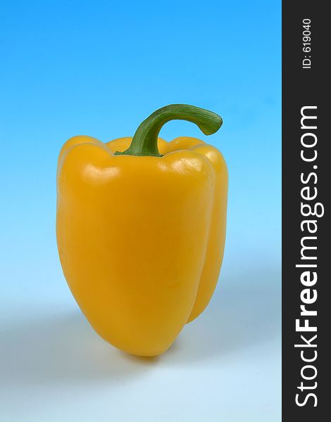 A studio image of a yellow pepper taken against a graduated blue background
