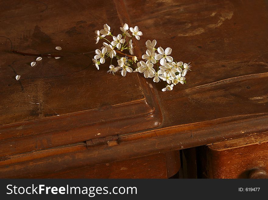 Cherry on an old table. Cherry on an old table