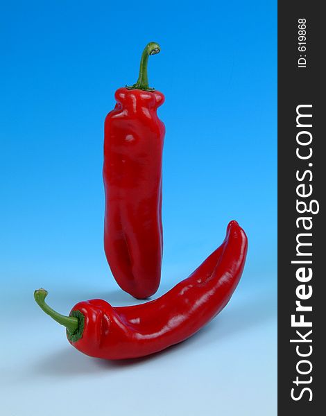 Studio image of two red peppers' taken on a graduated blue background. Studio image of two red peppers' taken on a graduated blue background