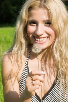 Dandelion Royalty Free Stock Photos Dandelion Royalty Free Stock Photos