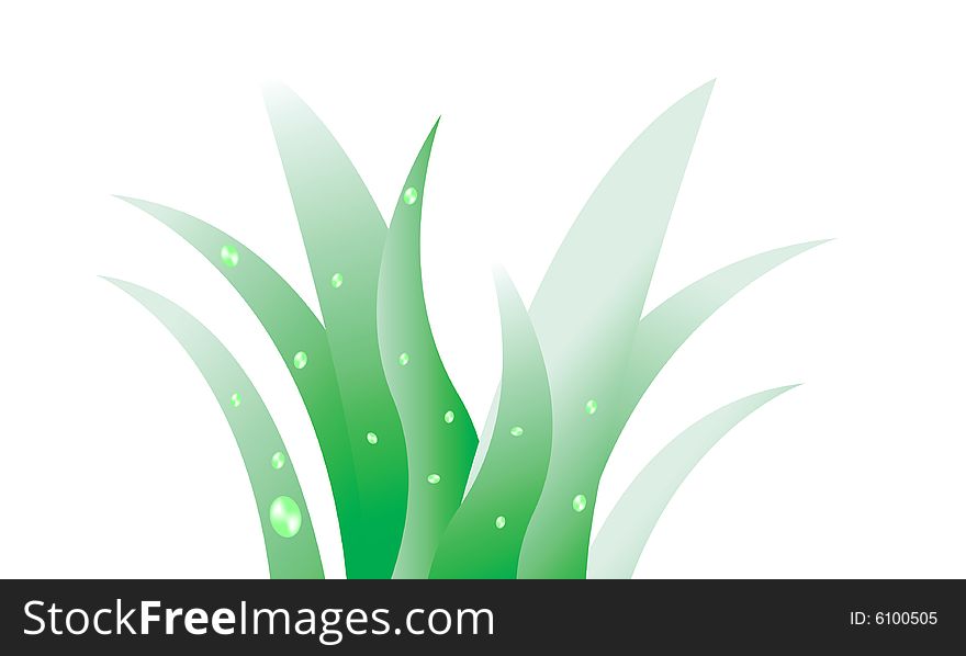 Green grass with dew, vector illustration