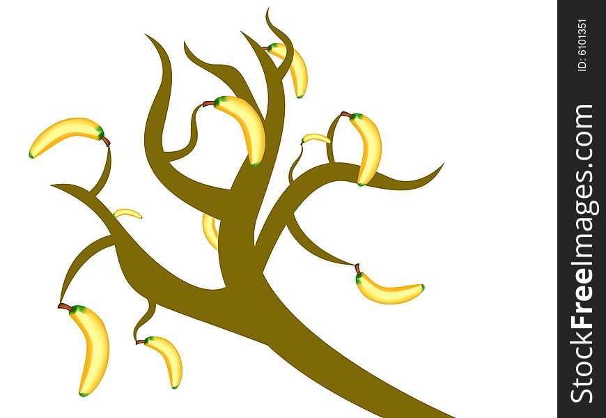 Abstract banana tree, vector illustration