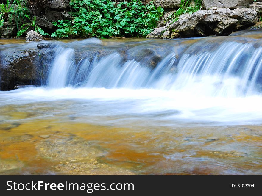 Small river and green grass in park