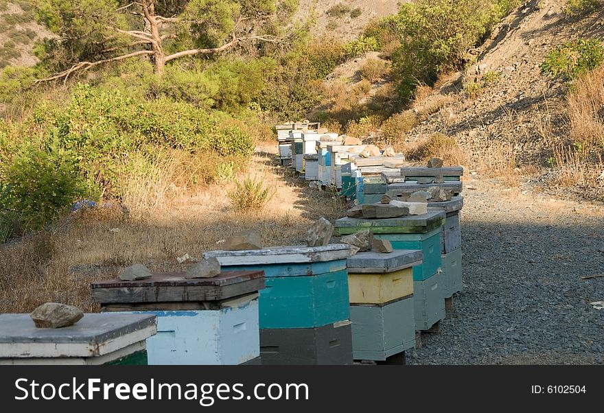 Colorful Bee houses located at the mountain