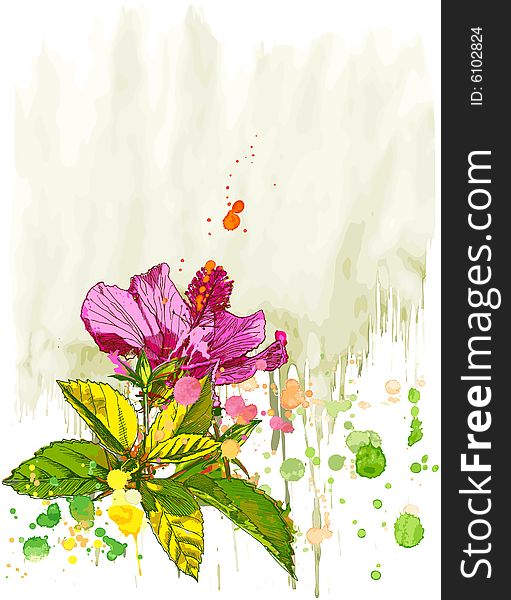 Hibiscus flower and watercolor background. Hibiscus flower and watercolor background