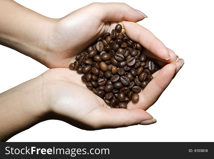 Girl holding in her hands a lot of coffee beans isolated on white. Girl holding in her hands a lot of coffee beans isolated on white