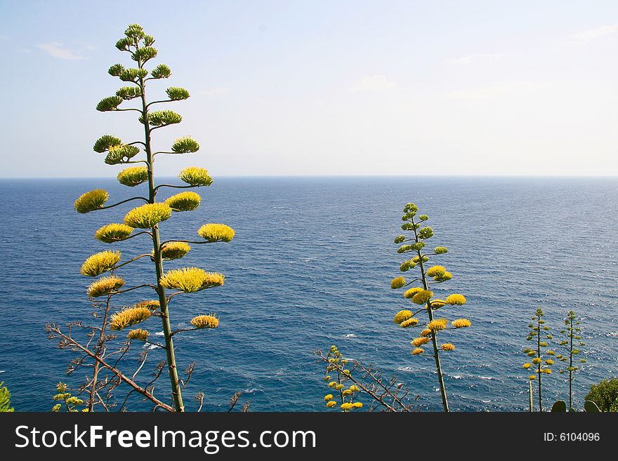 Costa Brava landscape, tossa de mar. Costa Brava landscape, tossa de mar