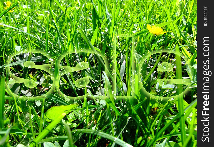 Photo of a beautiful green grass on a meadow with a word .