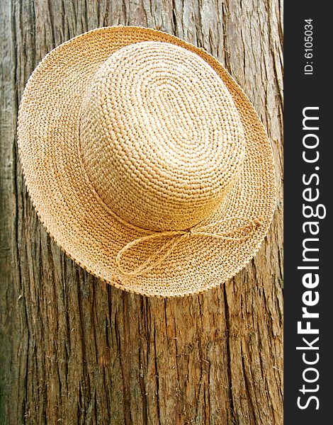 Straw Hat On Tree