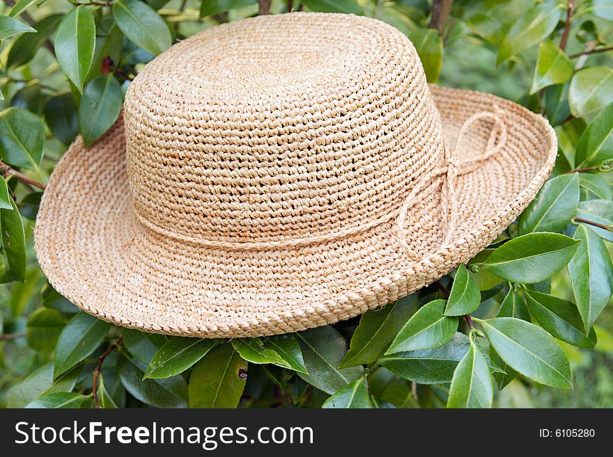 Brimmed straw grass hat on tree. Brimmed straw grass hat on tree