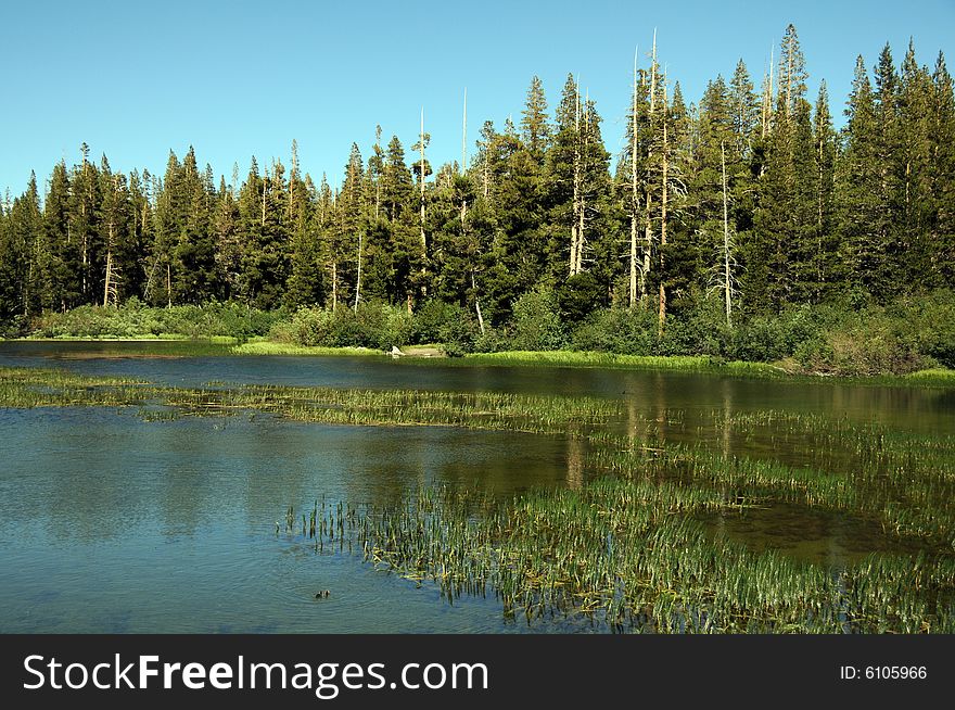 View of lake  in california mountains. View of lake  in california mountains