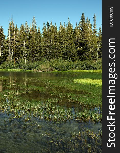 View of lake  in california mountains. View of lake  in california mountains