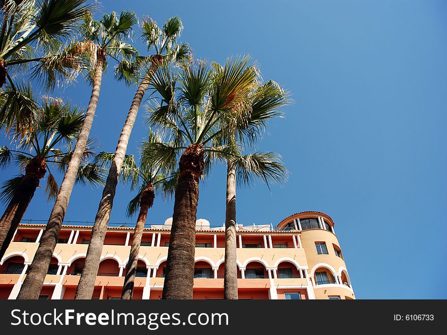 Hotel with palmtrees in the french city Cannes