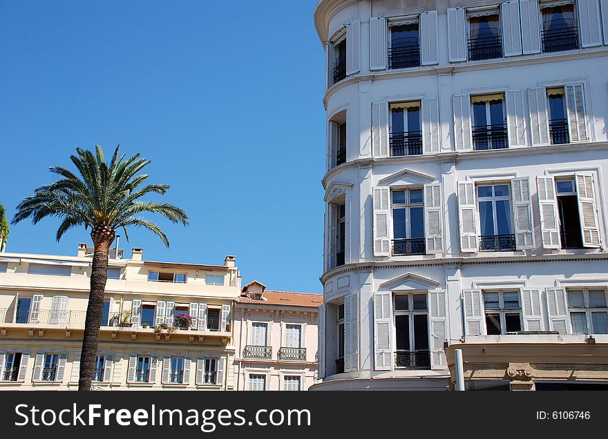 Hotel and palmtree in the city of Cannes