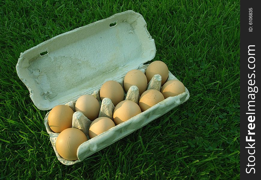 Brown chicken eggs stored in paperboard carton on grass