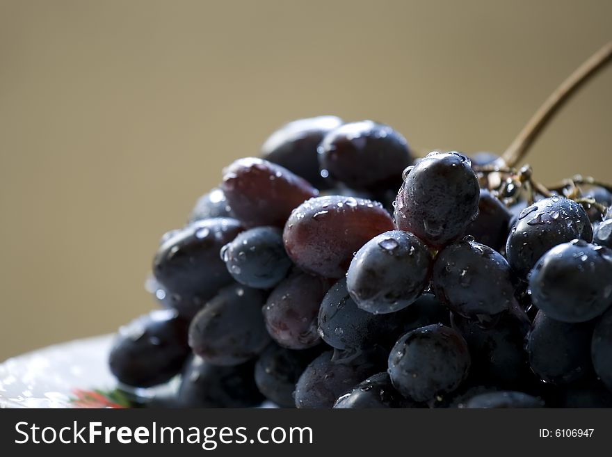 Shooting of a cluster of vine is in a dish, natural light.