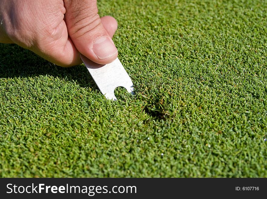 Man's hand repairs divot on golf green. Horizontally framed photo.