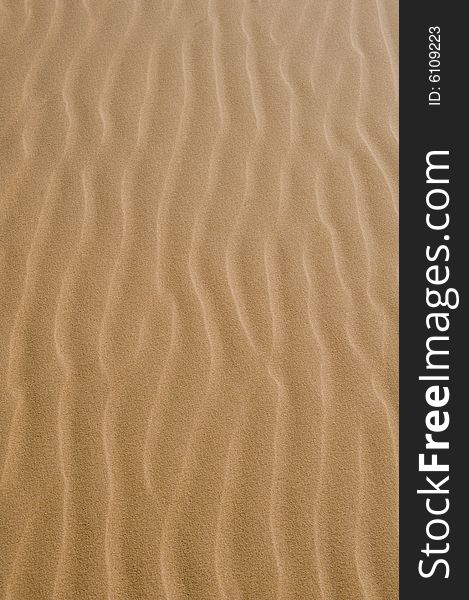 A close up image of a windswept sand dune