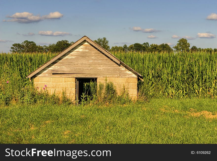 Old building in front of corn fields