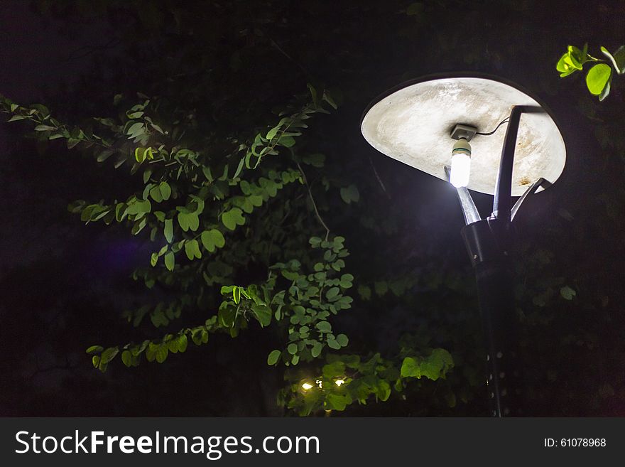 Street Lamp At Night