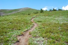 Hiking Trail And Meadow Royalty Free Stock Photo